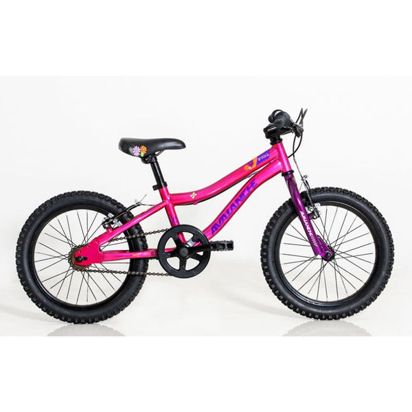 Avalanche DV8 Freestyle 20" Bicycle Black/Blue